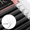 BEFER LU 3D W Shaped Premade Fans Sambungan Bulu Mata