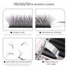 BEFER LU 3D W Shaped Premade Fans Sambungan Bulu Mata