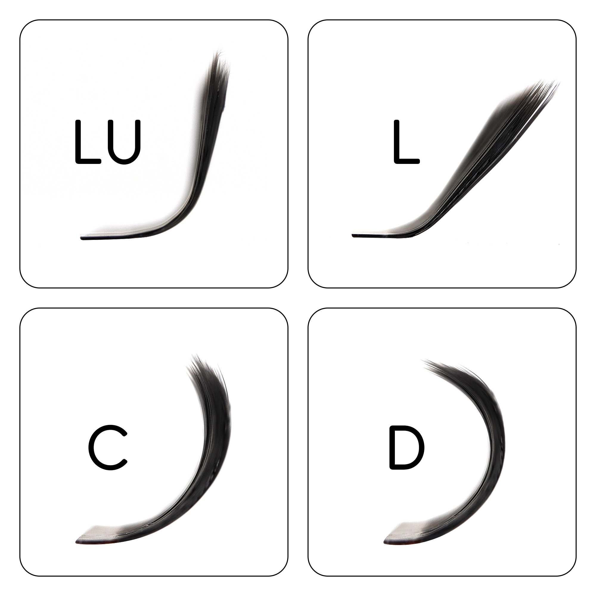BEFER LU 3D W Shaped Premade Fans Sambungan Bulu Mata