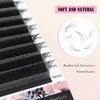4D W Shape Eyelash Extension Premade Fan Lash Extension